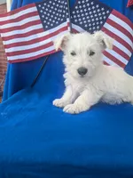 processed/242b9350-3828-462d-91ae-abacd62f5255/listing/2998c365-0f82-4f3c-b677-40517cf2792d/ac8874db-9483-4c17-8f2d-3ec627ae3e0d