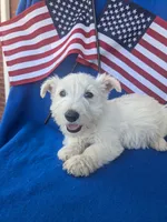 processed/242b9350-3828-462d-91ae-abacd62f5255/listing/2998c365-0f82-4f3c-b677-40517cf2792d/c3199ca8-5b60-435a-9978-1c549eb4f4c7