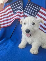 processed/242b9350-3828-462d-91ae-abacd62f5255/listing/3d46b0d3-a7ca-4ccc-a242-8cd3b6edab06/3fa371d3-2761-404b-bddf-05c59ff7dca6