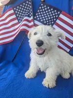 processed/242b9350-3828-462d-91ae-abacd62f5255/listing/3d46b0d3-a7ca-4ccc-a242-8cd3b6edab06/485c6612-7d0c-498d-b502-556fd4af816d