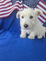 processed/242b9350-3828-462d-91ae-abacd62f5255/listing/3d46b0d3-a7ca-4ccc-a242-8cd3b6edab06/6db2d0cd-3040-4b11-a15e-e30892e7ecfd