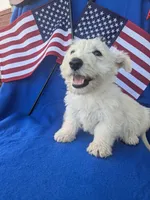 processed/242b9350-3828-462d-91ae-abacd62f5255/listing/3d46b0d3-a7ca-4ccc-a242-8cd3b6edab06/77e59e71-5881-4bd4-bf95-56481df17051