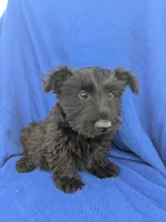 processed/242b9350-3828-462d-91ae-abacd62f5255/listing/6c55e717-21c1-4414-b7a3-8c67d72da10b/3abc32d8-66ac-408b-add8-f50f8239162a