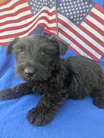 processed/242b9350-3828-462d-91ae-abacd62f5255/listing/6c55e717-21c1-4414-b7a3-8c67d72da10b/5e4261c3-f62b-4806-877b-87b5d88613e7