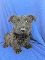 processed/242b9350-3828-462d-91ae-abacd62f5255/listing/6c55e717-21c1-4414-b7a3-8c67d72da10b/999576d4-f515-4780-849f-ee3de39f15c5