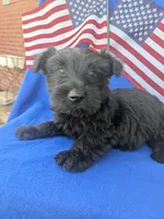 processed/242b9350-3828-462d-91ae-abacd62f5255/listing/6c55e717-21c1-4414-b7a3-8c67d72da10b/ccbbf0c8-ce37-4eed-8db1-776ab156184a