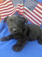 processed/242b9350-3828-462d-91ae-abacd62f5255/listing/6c55e717-21c1-4414-b7a3-8c67d72da10b/e94962b1-9aa4-4465-a16f-67a52c5dd782