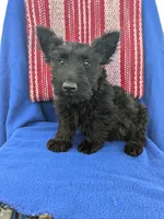 processed/242b9350-3828-462d-91ae-abacd62f5255/listing/963e60ec-af04-4033-87cd-523bb270f742/10147bb8-271a-4f3e-a7b7-87b32c954970