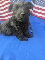 processed/242b9350-3828-462d-91ae-abacd62f5255/listing/963e60ec-af04-4033-87cd-523bb270f742/2a56dca2-89f8-4589-8161-0a6884c95fc8