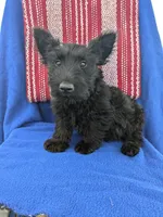 processed/242b9350-3828-462d-91ae-abacd62f5255/listing/963e60ec-af04-4033-87cd-523bb270f742/2b55c5b5-b5ca-4445-b225-e9e400accc36