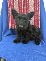 processed/242b9350-3828-462d-91ae-abacd62f5255/listing/963e60ec-af04-4033-87cd-523bb270f742/7c506e31-2d4e-40f3-a592-aec90fb1d675