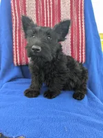 processed/242b9350-3828-462d-91ae-abacd62f5255/listing/963e60ec-af04-4033-87cd-523bb270f742/9e0f119d-525a-4ca5-8087-8d7725dacbc8