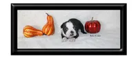 Reba, a female Boston Terrier for sale in Colorado Springs, CO – 1 of 9