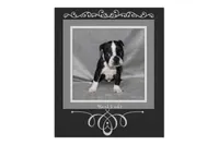 Hank, a male Boston Terrier for sale in Colorado Springs, CO – 3 of 7