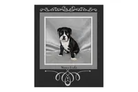 Haven, a female Boston Terrier for sale in Colorado Springs, CO – 2 of 8