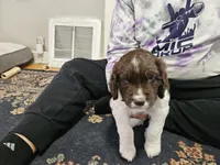 processed/243024dc-e4d1-494e-bee1-11d8496a1ff1/listing/11da7f44-0b6a-4a27-b149-6db496534eb5/aaff07ac-e054-49f5-9a89-86c77b631192