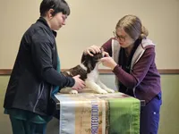 processed/243024dc-e4d1-494e-bee1-11d8496a1ff1/listing/843e6ab2-ac10-4166-b740-62c2049d87ea/f6aacf2c-9130-405c-84e1-396a6ee711c4