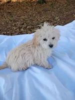 processed/2436422a-ff7c-4980-aee4-0c81f285c1c5/listing/204117b7-8ef5-4353-8bb6-21682017b3a9/0cbacd64-9d95-4dc5-9e53-8ca3bffa956c