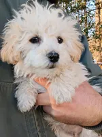 processed/2436422a-ff7c-4980-aee4-0c81f285c1c5/listing/204117b7-8ef5-4353-8bb6-21682017b3a9/b08d7d49-7e44-41d2-a3fd-686f42476fec