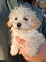 processed/2436422a-ff7c-4980-aee4-0c81f285c1c5/listing/204117b7-8ef5-4353-8bb6-21682017b3a9/f92d33ad-d4b8-4b70-b417-d6d390d1a938