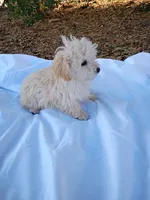 processed/2436422a-ff7c-4980-aee4-0c81f285c1c5/listing/204117b7-8ef5-4353-8bb6-21682017b3a9/fe1f206c-786e-4834-9e56-ad2738884b2b