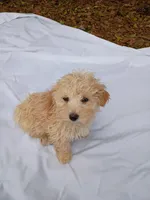 processed/2436422a-ff7c-4980-aee4-0c81f285c1c5/listing/a12b1171-324a-433c-9037-fa26d1008dd0/5d3b60be-92cc-466f-a4d1-4adf77c9e35e