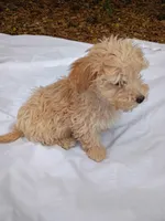 processed/2436422a-ff7c-4980-aee4-0c81f285c1c5/listing/a12b1171-324a-433c-9037-fa26d1008dd0/8ca9fd30-c735-4c52-9d84-2f69d5dc98c9