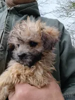 processed/2436422a-ff7c-4980-aee4-0c81f285c1c5/listing/d33150e5-5d65-4adf-8dec-08f33f03403d/61d86866-9226-4304-96e2-40c60b137090