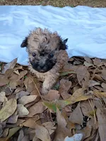 processed/2436422a-ff7c-4980-aee4-0c81f285c1c5/listing/d33150e5-5d65-4adf-8dec-08f33f03403d/dc49a13f-a7ff-4508-856d-23b89d270899