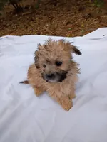 processed/2436422a-ff7c-4980-aee4-0c81f285c1c5/listing/d33150e5-5d65-4adf-8dec-08f33f03403d/ee6d4359-886d-40d7-9b08-ea28817fc38b