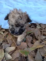 processed/2436422a-ff7c-4980-aee4-0c81f285c1c5/listing/d33150e5-5d65-4adf-8dec-08f33f03403d/f7183392-29db-4029-84c8-50cac4f4a0b1