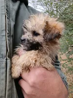 processed/2436422a-ff7c-4980-aee4-0c81f285c1c5/listing/d33150e5-5d65-4adf-8dec-08f33f03403d/f76de23f-738a-464a-8105-670f5dfe1f37