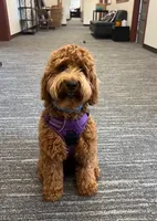 processed/2441f8c8-ea72-48a3-8e7c-a2b18e709020/facility/3f92f2c6-4281-4a69-8ae8-3e2287c955d2