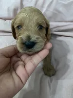 processed/2441f8c8-ea72-48a3-8e7c-a2b18e709020/listing/48064e92-e8b9-4eb7-8e1d-69a2a31a86c3/55efbfe9-8765-4b69-b5e9-73a7fe34c900