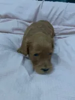 processed/2441f8c8-ea72-48a3-8e7c-a2b18e709020/listing/74ab0848-e0cf-4c85-a9b0-a0e9ed955e54/74ab20e7-d118-4fa8-a635-841cebbdd6c0