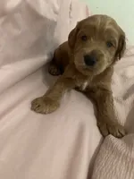 processed/2441f8c8-ea72-48a3-8e7c-a2b18e709020/listing/80c948d3-9602-4aea-902f-4a5860fce8e0/04ad7123-a47b-4471-bee6-b81bc496facb