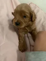 processed/2441f8c8-ea72-48a3-8e7c-a2b18e709020/listing/80c948d3-9602-4aea-902f-4a5860fce8e0/47eee55c-7ba3-42d3-89b7-981e505d1cc5