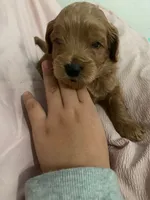 processed/2441f8c8-ea72-48a3-8e7c-a2b18e709020/listing/80c948d3-9602-4aea-902f-4a5860fce8e0/89275991-2701-4a26-9e84-e2a3f2d9d312