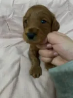 processed/2441f8c8-ea72-48a3-8e7c-a2b18e709020/listing/920b8dd5-54d0-4d01-b56e-0022346832cb/e815b2c5-f5dd-49e6-a43a-8fa52d5f583e