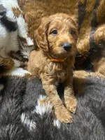 processed/2441f8c8-ea72-48a3-8e7c-a2b18e709020/listing/c93813cb-cd28-438c-b34e-f17715abf725/579fc28d-586d-468c-95fb-63960ee64fbe