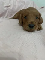 processed/2441f8c8-ea72-48a3-8e7c-a2b18e709020/listing/c93813cb-cd28-438c-b34e-f17715abf725/6498ac1c-9e98-40f3-84e1-551d00ddf924