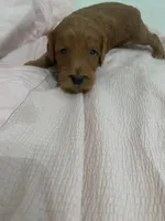 processed/2441f8c8-ea72-48a3-8e7c-a2b18e709020/listing/c9b5e1d2-6966-4421-a1a6-2632141a19bc/2e419ac2-7dc6-4faf-9706-d653f5880fa4