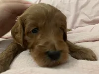 processed/2441f8c8-ea72-48a3-8e7c-a2b18e709020/listing/c9b5e1d2-6966-4421-a1a6-2632141a19bc/3fa7d2f1-01c1-42bd-ad34-4c92cac77fcb