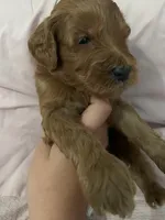 processed/2441f8c8-ea72-48a3-8e7c-a2b18e709020/listing/c9b5e1d2-6966-4421-a1a6-2632141a19bc/83dd7c6a-4dc4-47fb-b625-ce579ada2d15