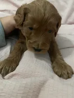 processed/2441f8c8-ea72-48a3-8e7c-a2b18e709020/listing/c9b5e1d2-6966-4421-a1a6-2632141a19bc/d8eaabaa-d13e-45fa-96b8-d74d4df844d1