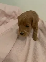 processed/2441f8c8-ea72-48a3-8e7c-a2b18e709020/listing/ff98b349-ae5c-45f4-933a-07e03eb12748/4415ae22-bd3d-46eb-940a-2854a4c2cada