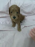 processed/2441f8c8-ea72-48a3-8e7c-a2b18e709020/listing/ff98b349-ae5c-45f4-933a-07e03eb12748/4b0c82da-3f71-4064-bcd8-dd72a2ef0d84