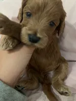 processed/2441f8c8-ea72-48a3-8e7c-a2b18e709020/listing/ff98b349-ae5c-45f4-933a-07e03eb12748/5b4c0502-fef1-46c5-bf9e-10ad215dd3c4