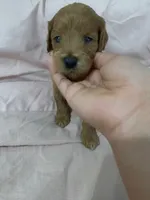 processed/2441f8c8-ea72-48a3-8e7c-a2b18e709020/listing/ff98b349-ae5c-45f4-933a-07e03eb12748/c288741d-d0a1-4a87-b85f-e23d14fa4185