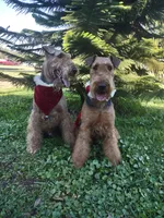 processed/2444eb59-1a28-4a32-8706-b22c148fbd79/facility/21fc5190-61a6-4912-8554-c344e4b11936